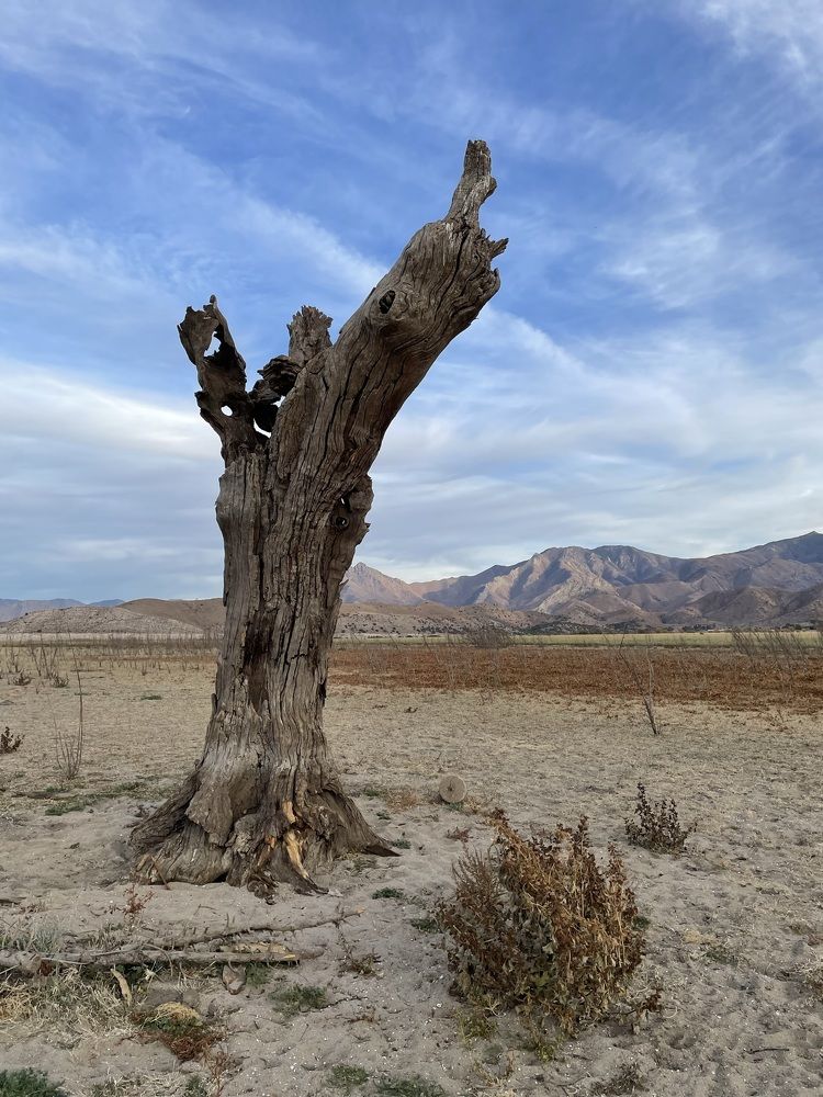 Photograph by Svetlana Kuzmenko