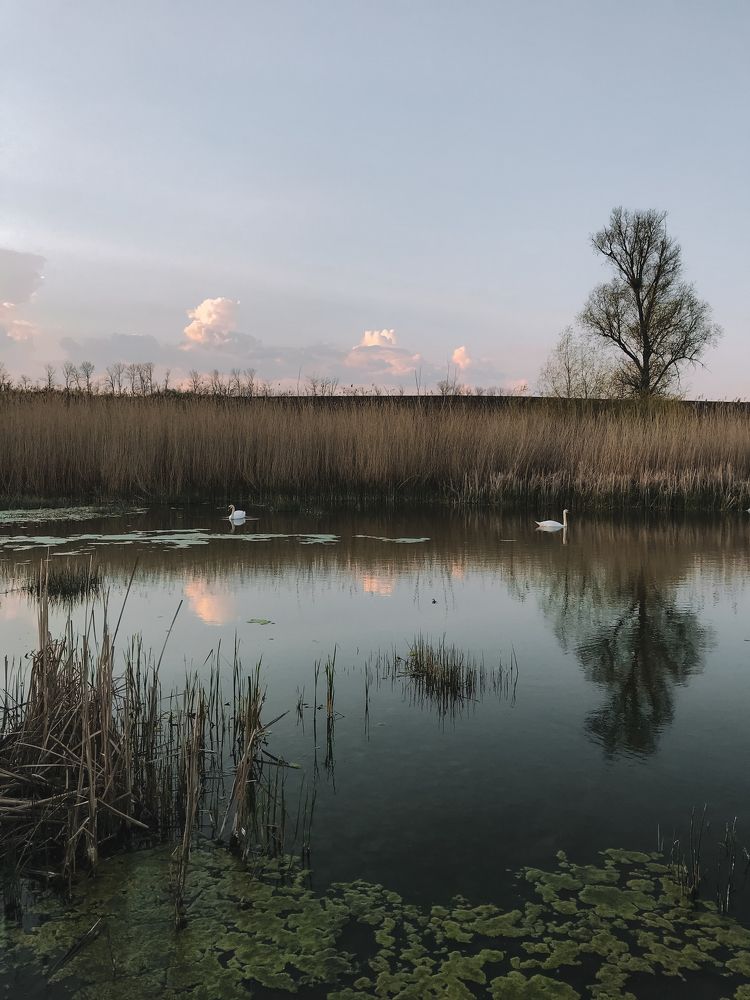 Photograph by Олена Уманцева