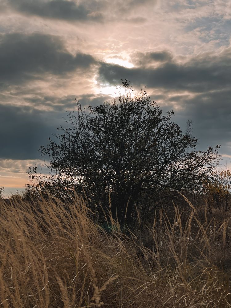 Photograph by Олена Уманцева