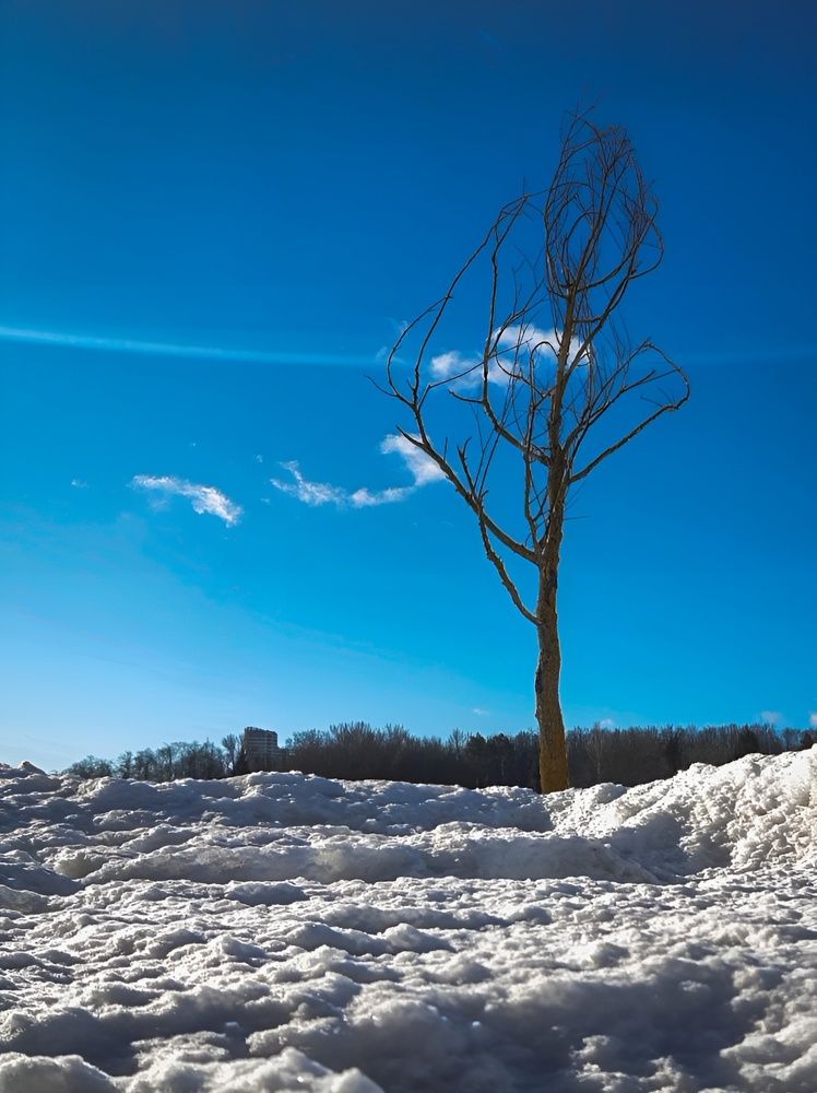 Photograph by Александра Кропивка
