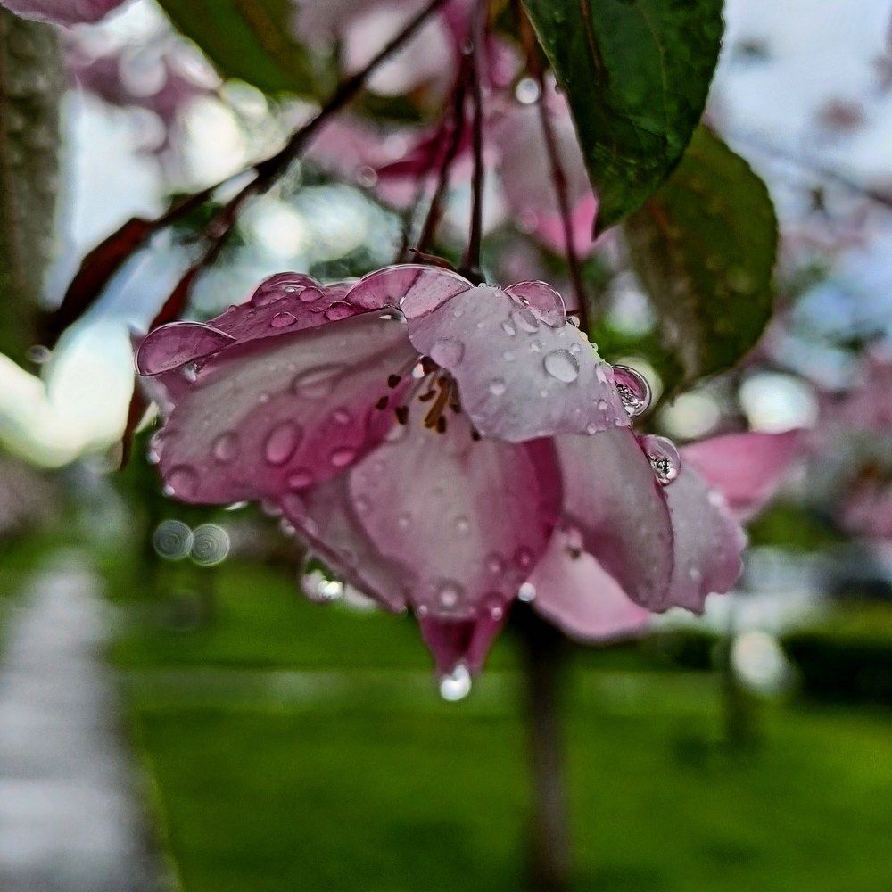Photograph by Анастасия Горбачева