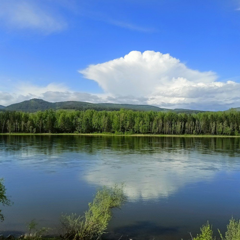 Крылья природы