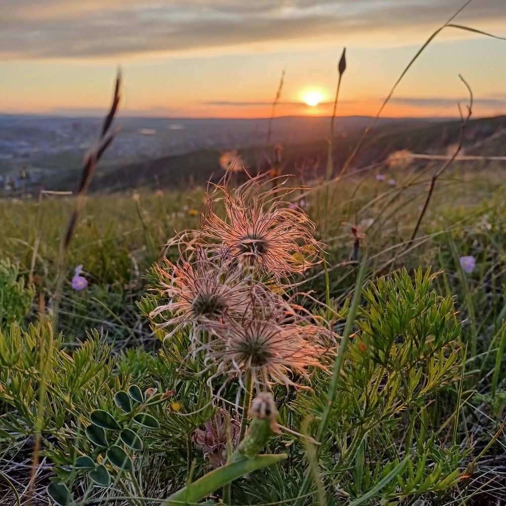 Photograph by Анастасия Горбачева