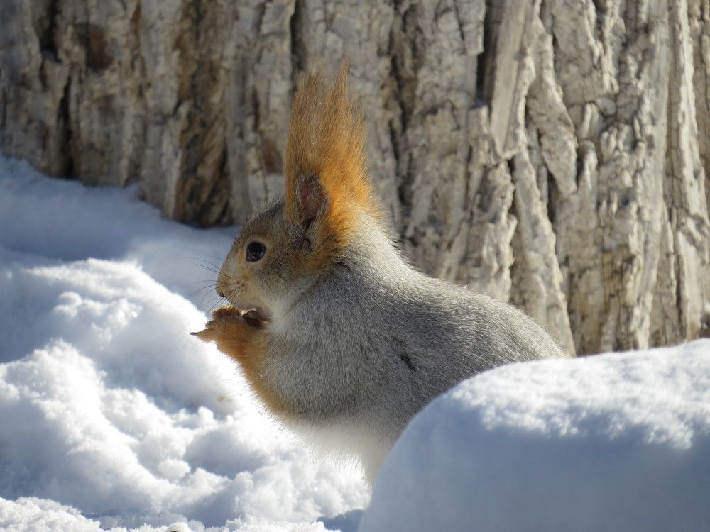 Photograph by Оксана Малахова