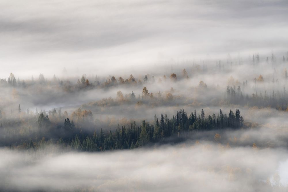 Photograph by Tatiana Meshcheryakova