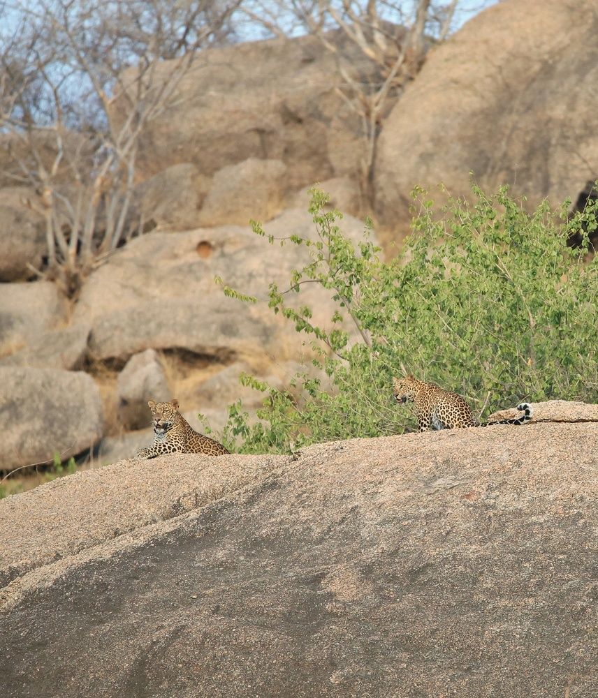 Photograph by Badal Parmar
