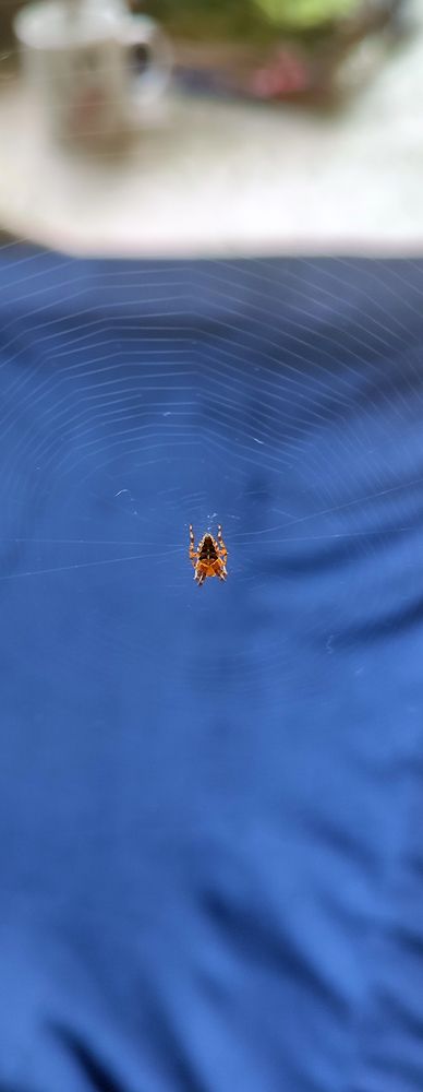 Photograph by Григорий Полосин