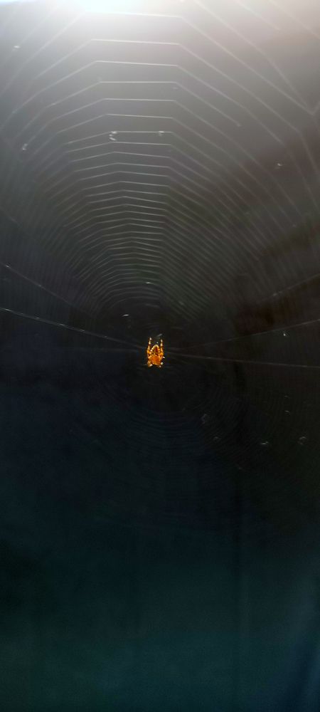 Photograph by Григорий Полосин