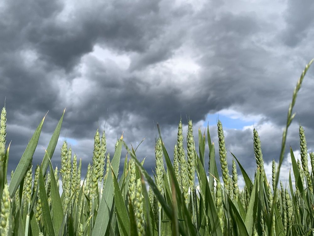 Фотография автора Ирина Шпаковская