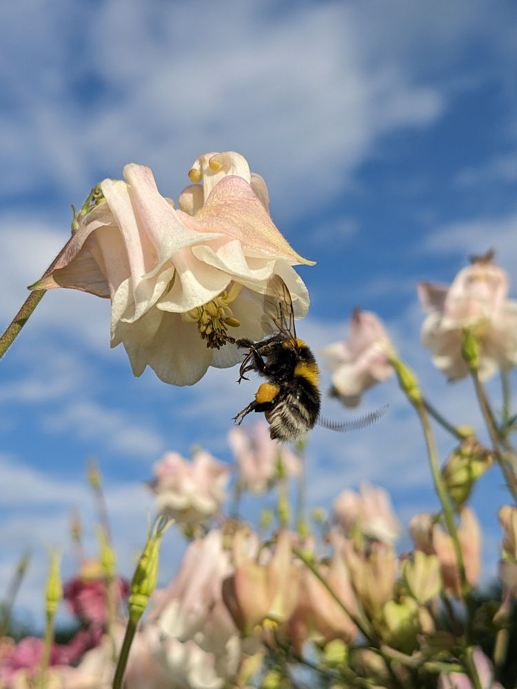 Photograph by Ольга Долгополова
