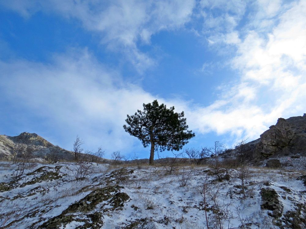 Photograph by Екатерина Зиник