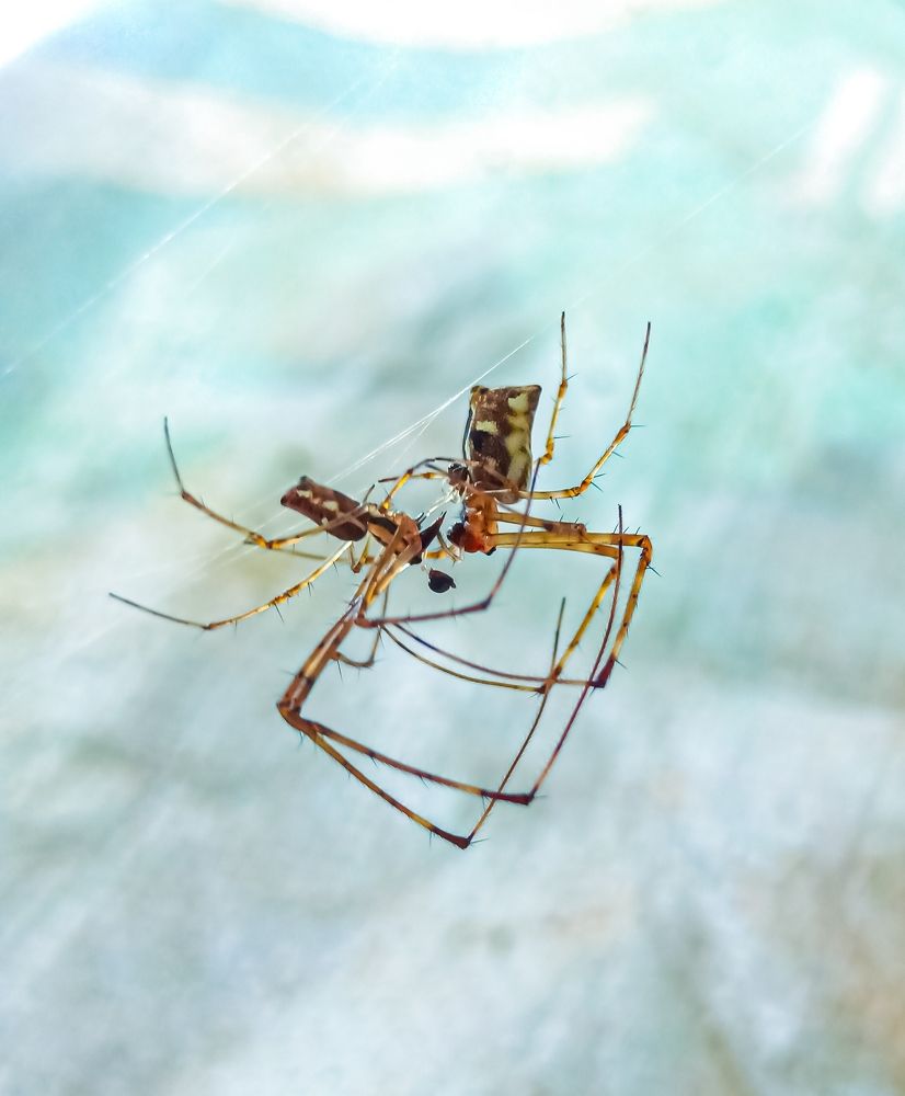 Photograph by Souvik Bhattacharyya