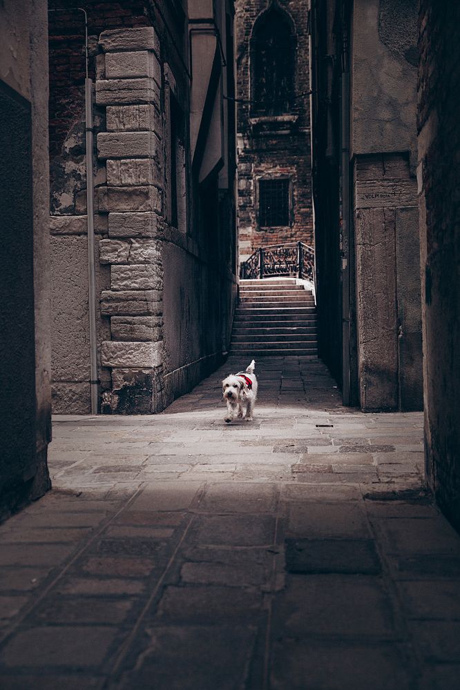 Photograph by Мария Корвин-Кучинская