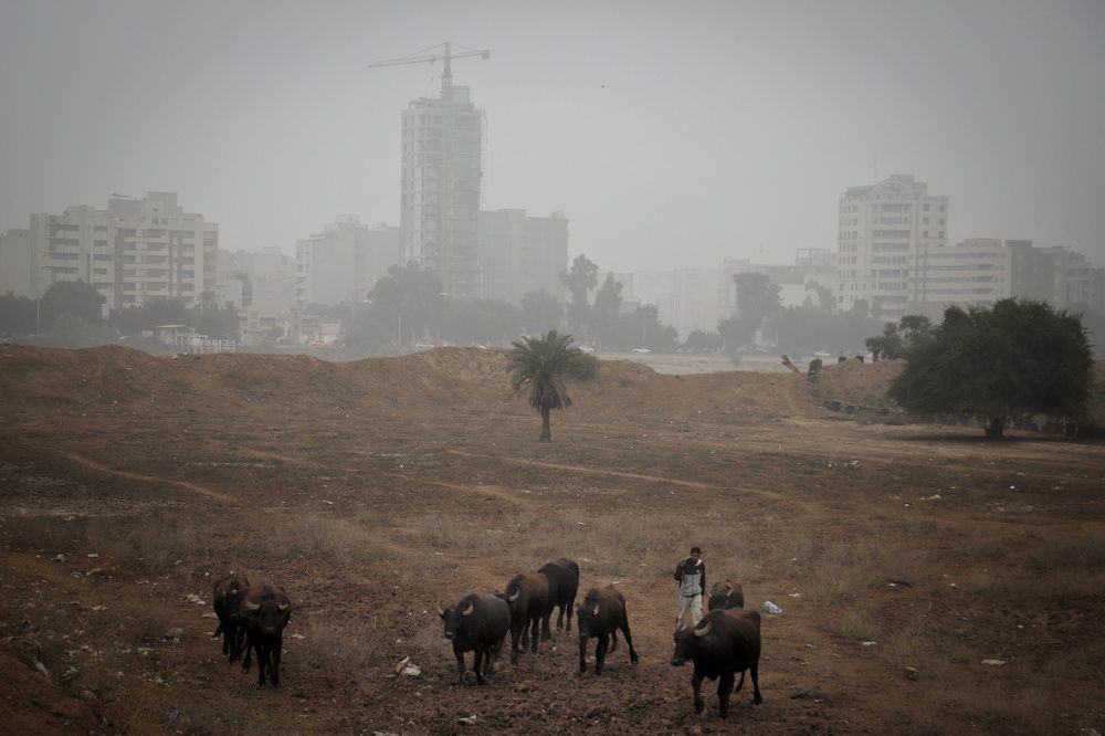 Photograph by Anis Ghalavand