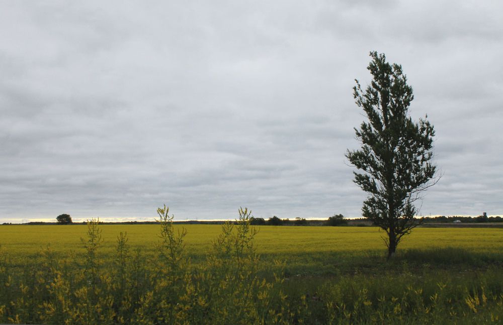 Photograph by Алла Бойко