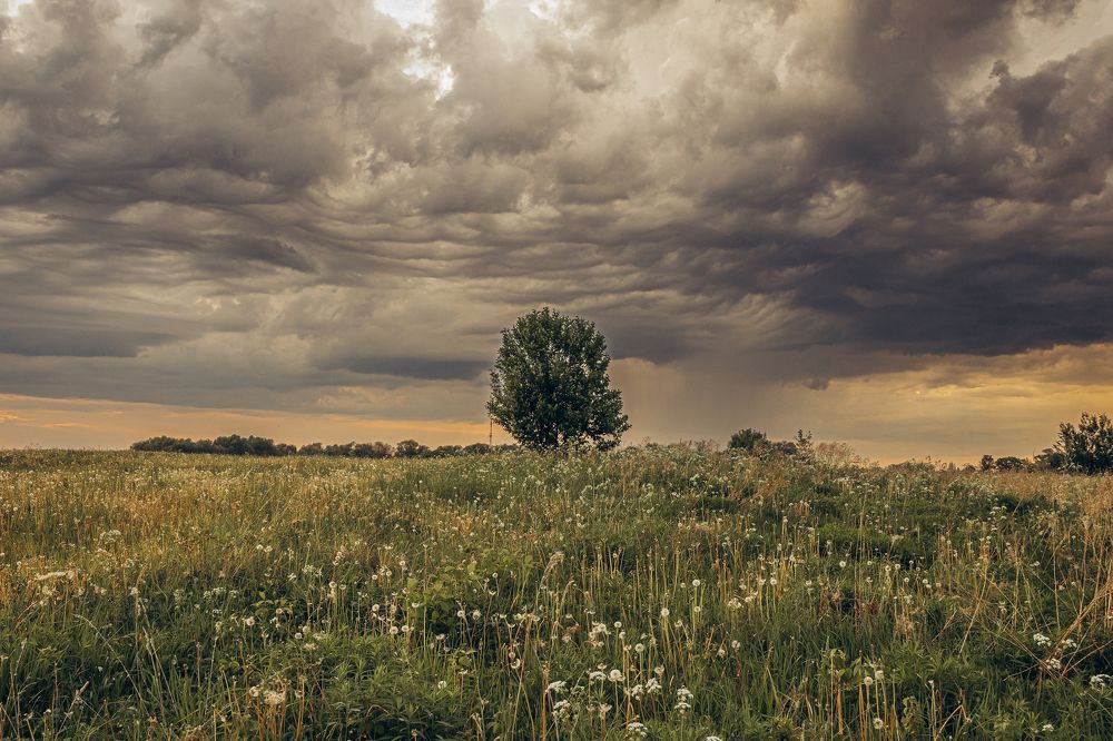 Photograph by Белокуров Сергей