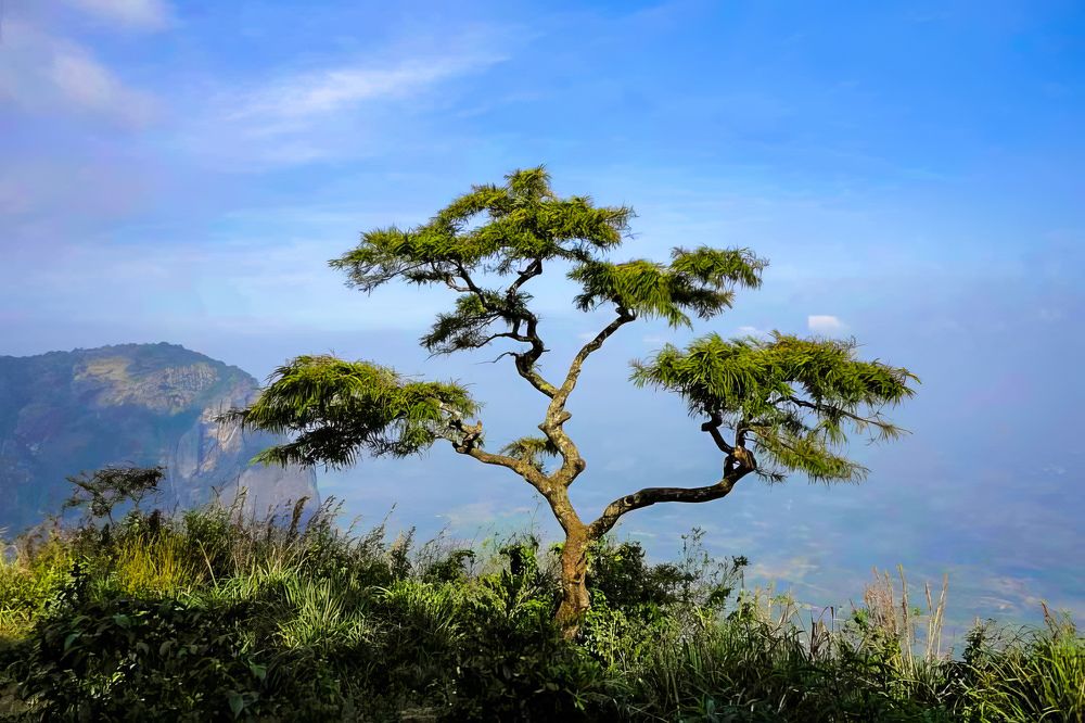 Photograph by Abdul Latheef M