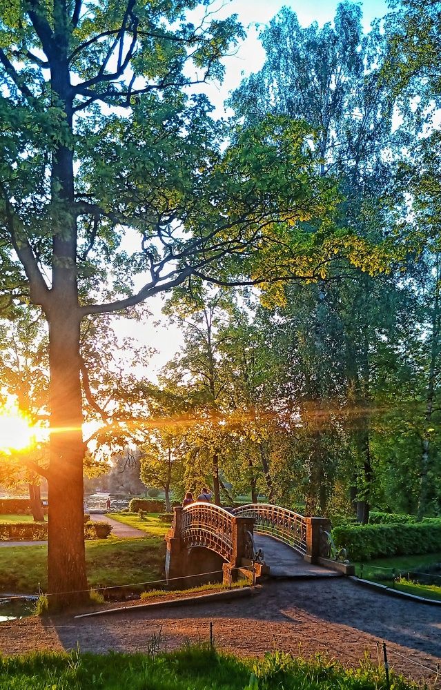 последний луч