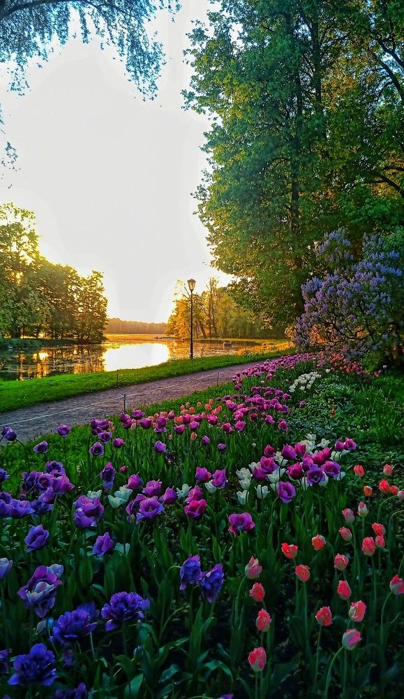 краски лета