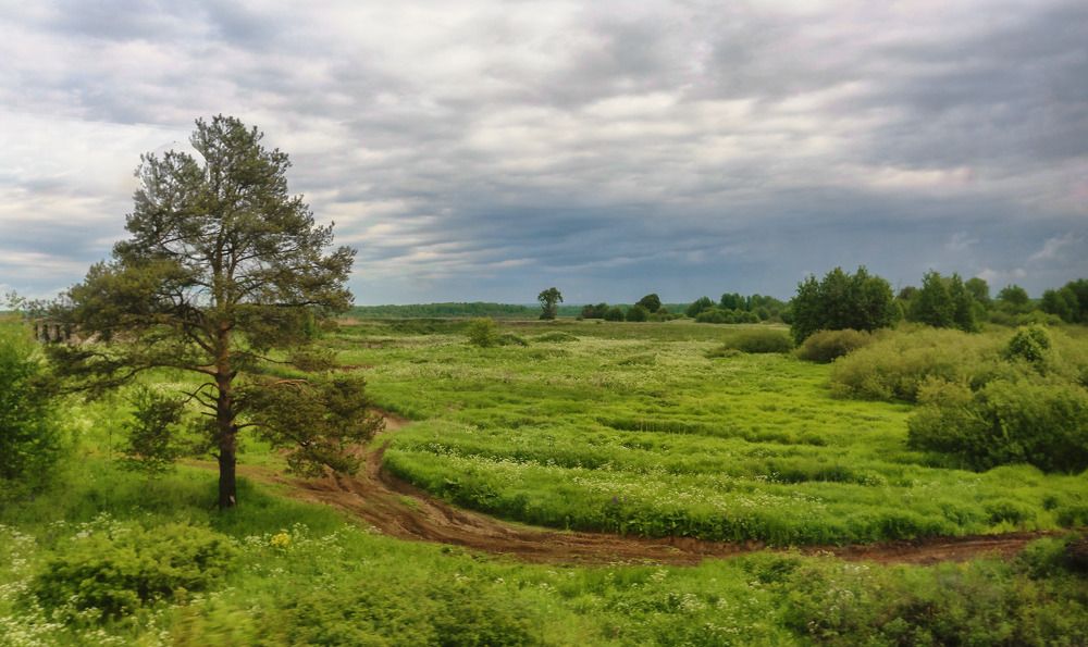 Фотография автора Дмитрий Климов