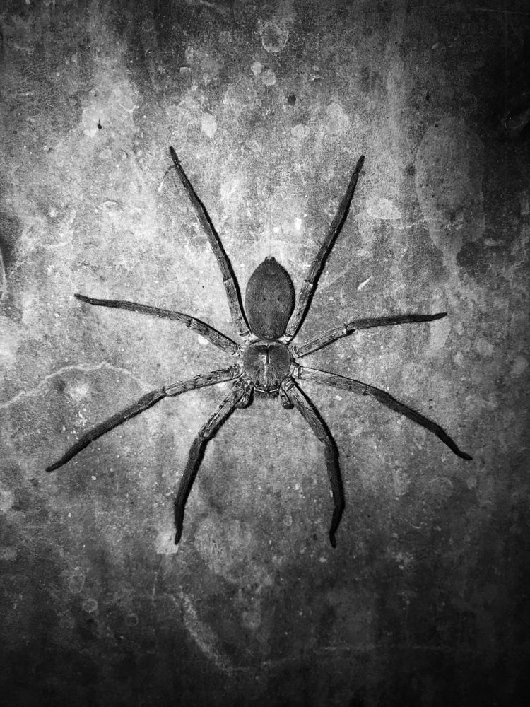 Фотография автора Washiful Majid