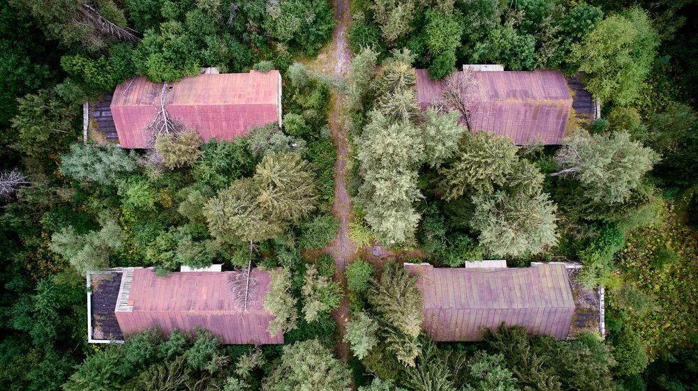 Фотография автора Totoro