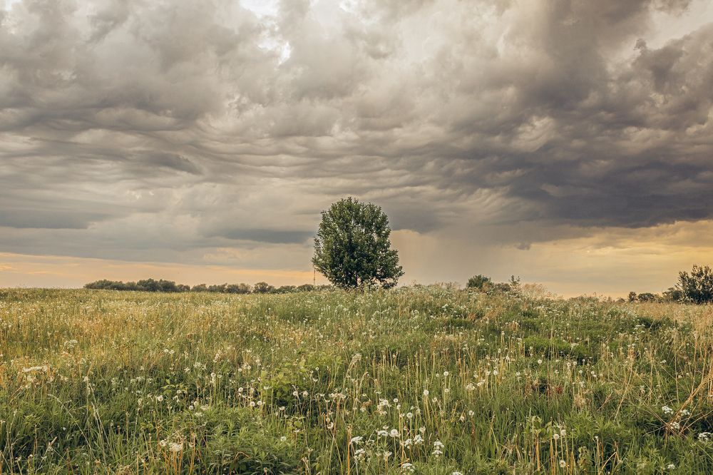 Photograph by Сергей Белокуров