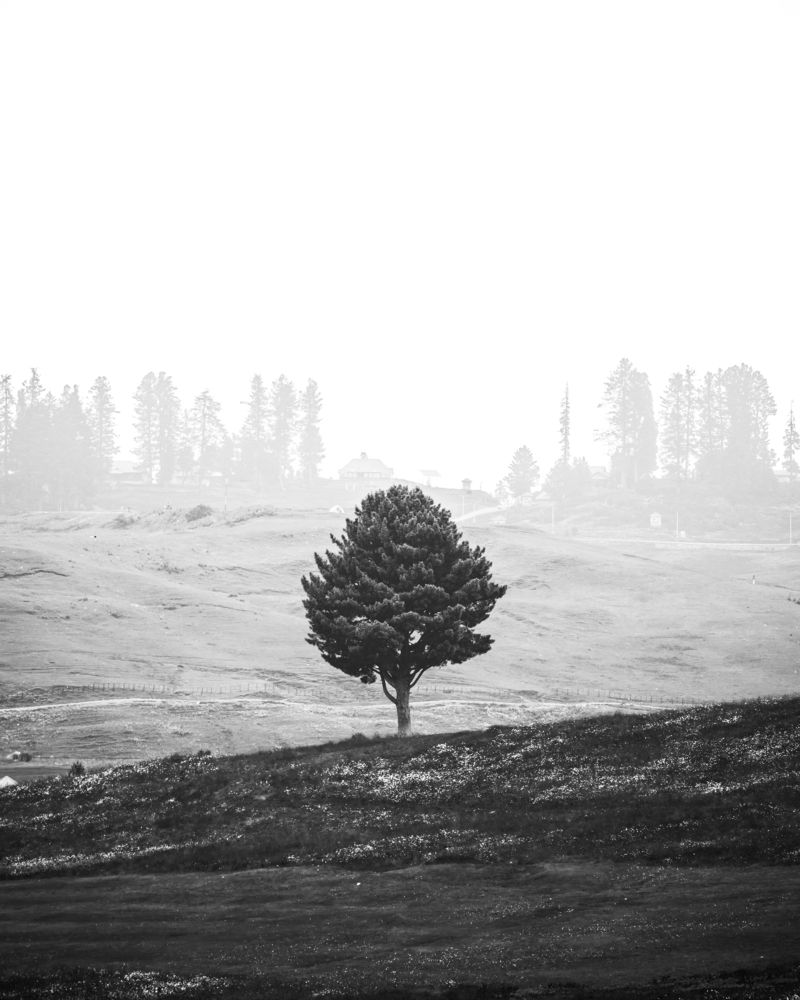 Photograph by Basit Manzoor