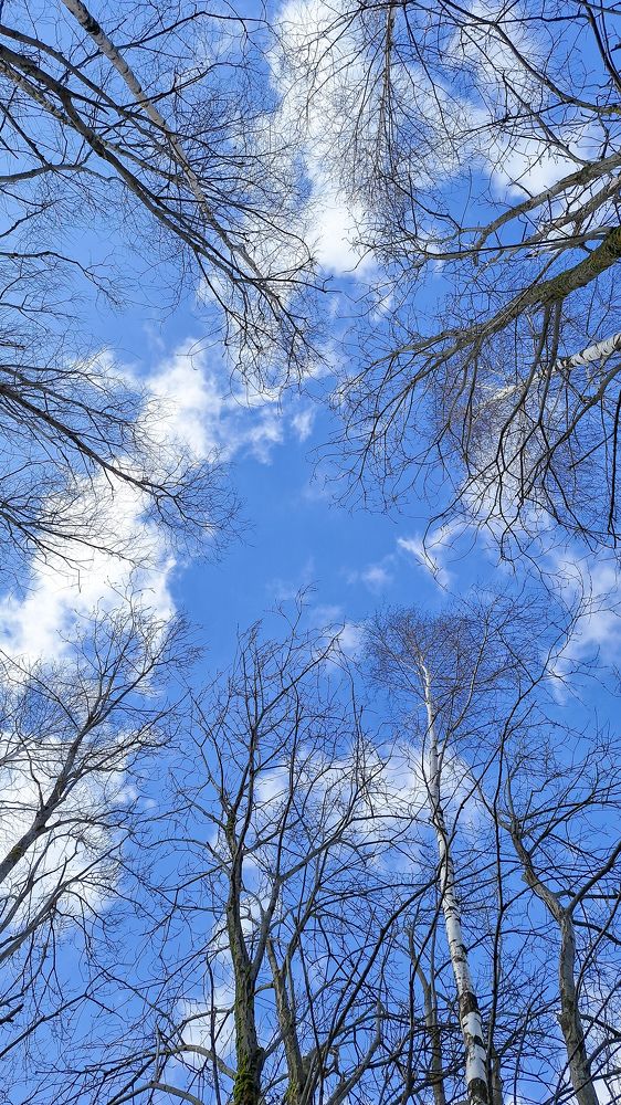 Славянская красота