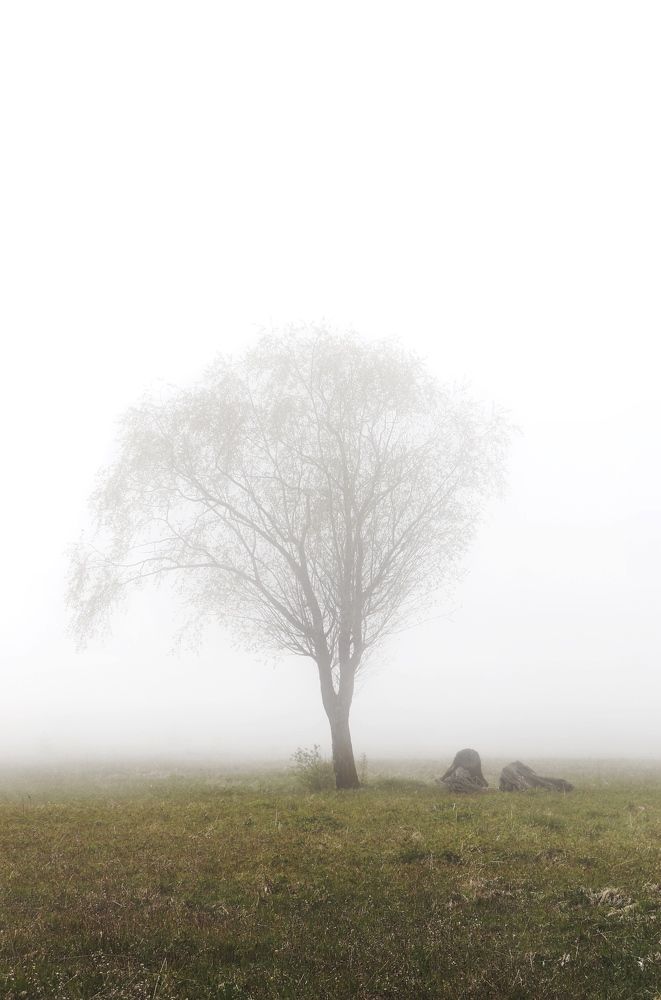 Photograph by Татьяна Кужлекова