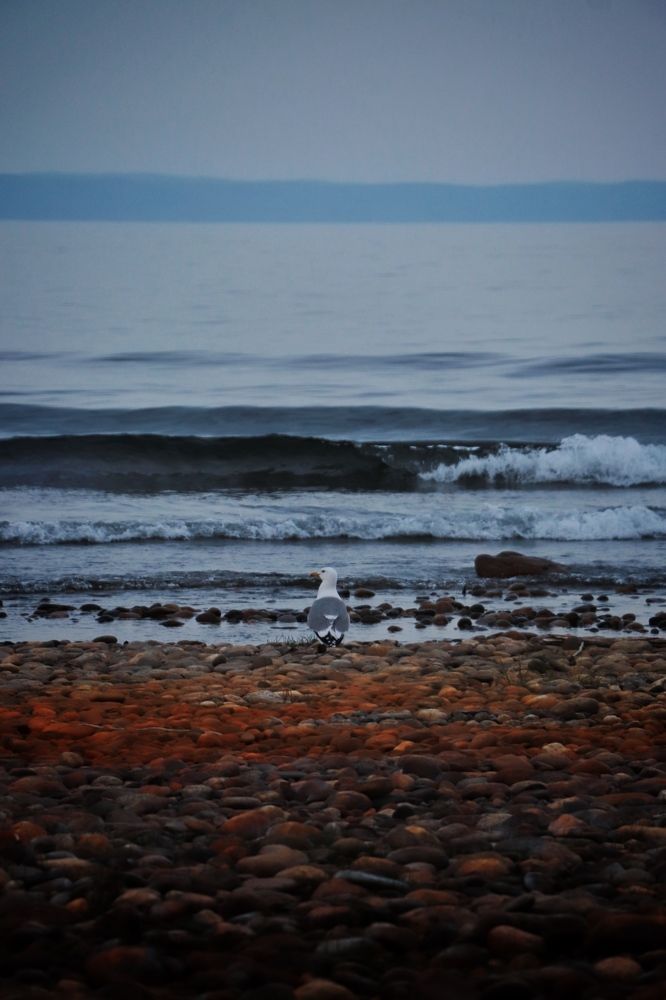 Photograph by Татьяна Кужлекова