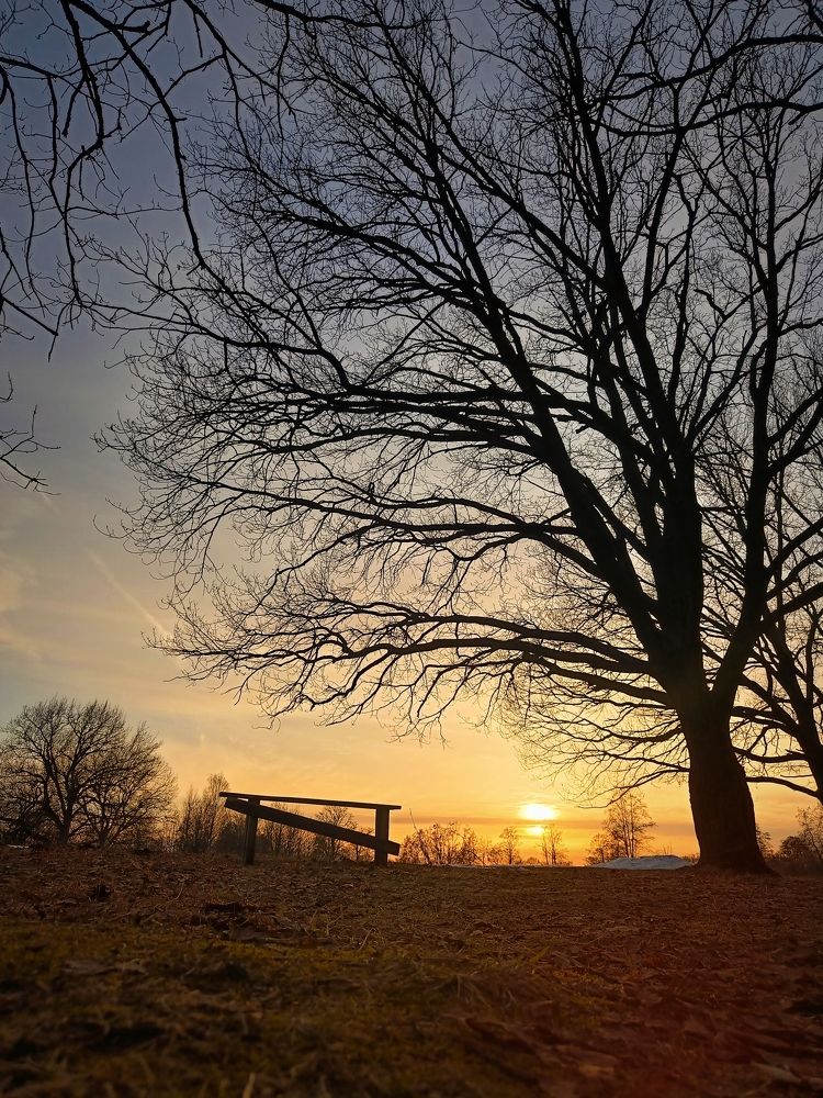 Photograph by Полина Шаронова