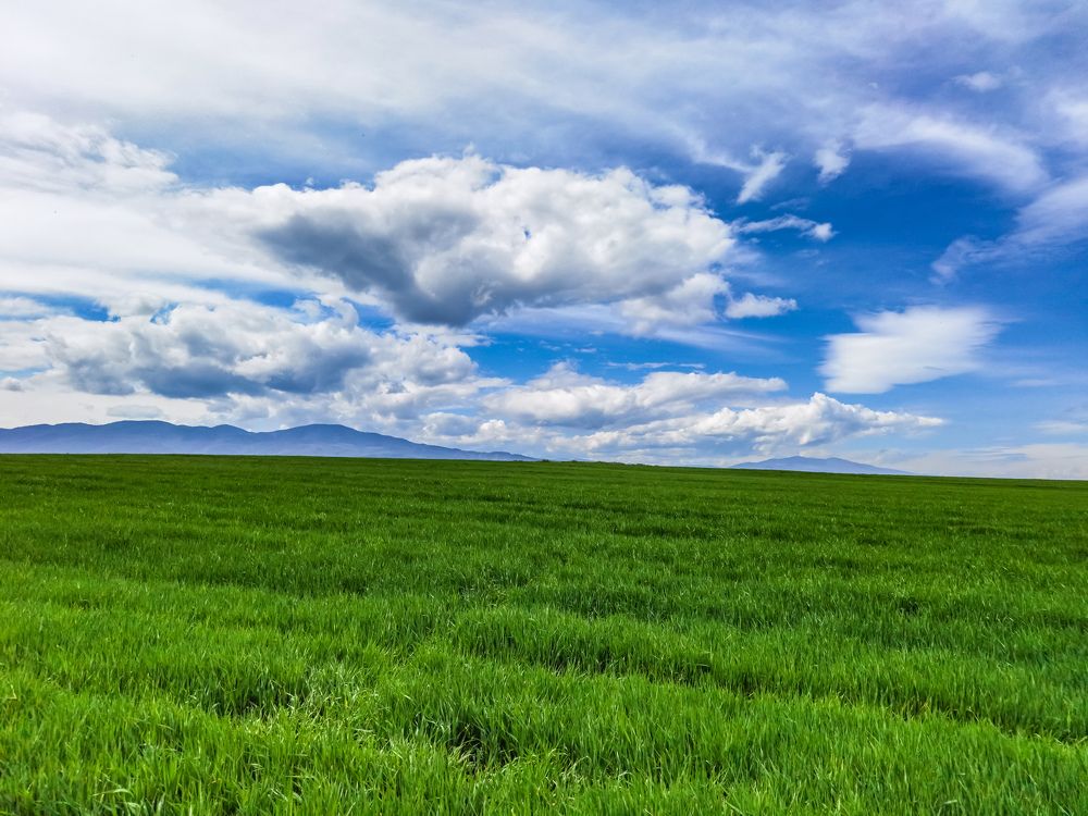 Photograph by Nikolay Draganov