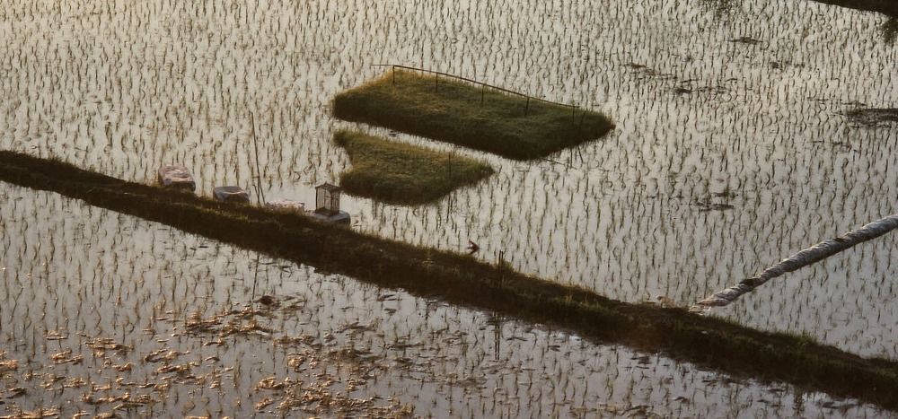 Фотография автора mahyar sj