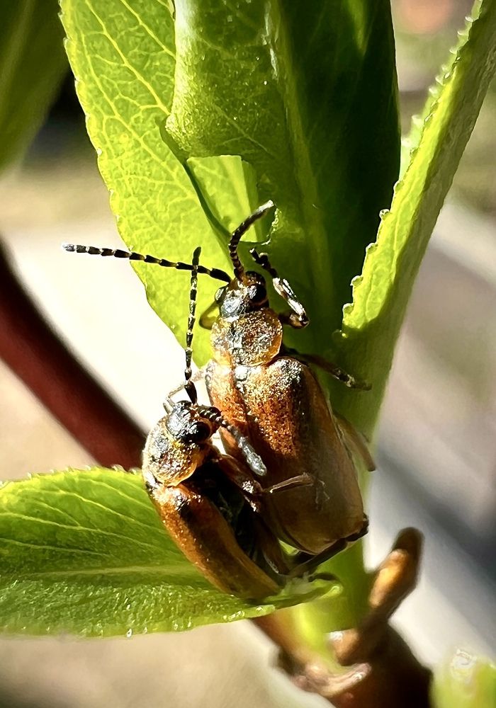Photograph by Александра Акси
