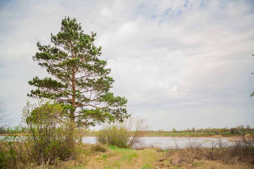 Фотография автора Иван Карпов