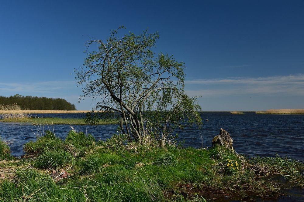 Photograph by Ирина Алексеева