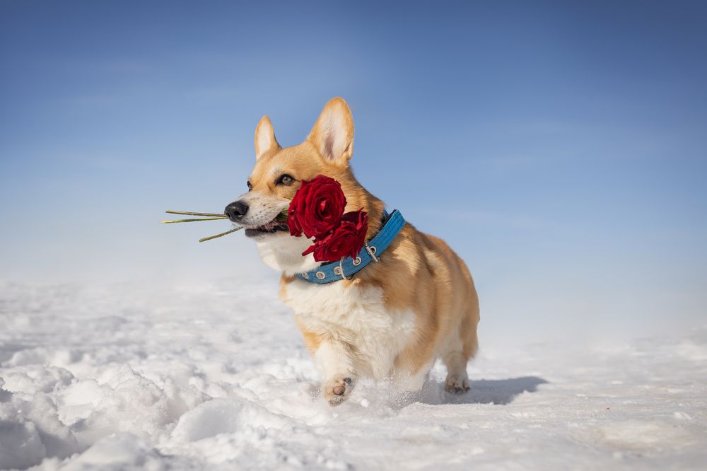 Фотография автора Настя
