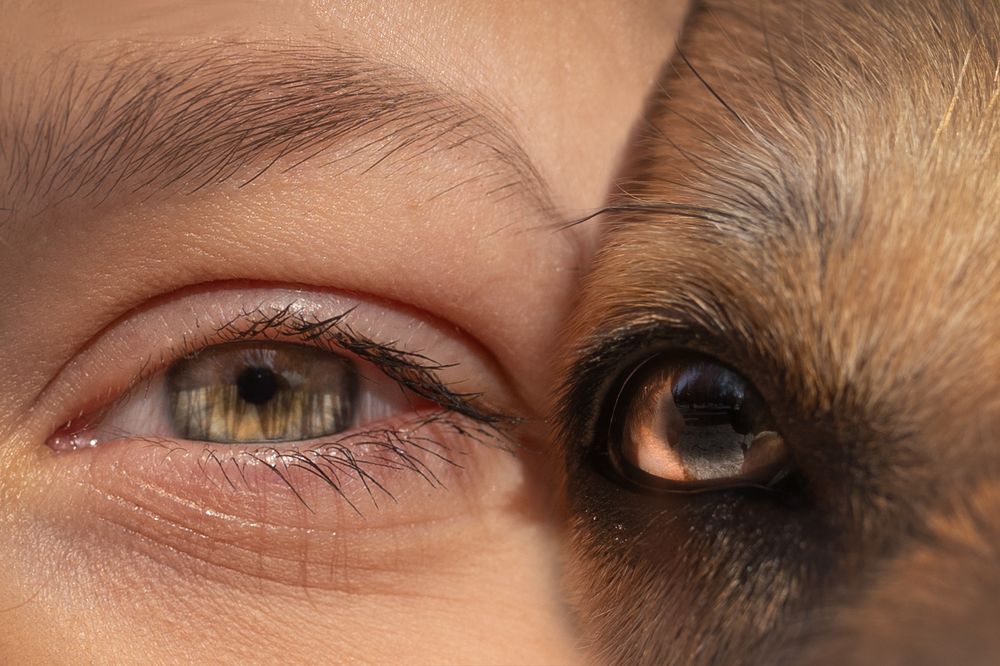 Фотография автора Настя