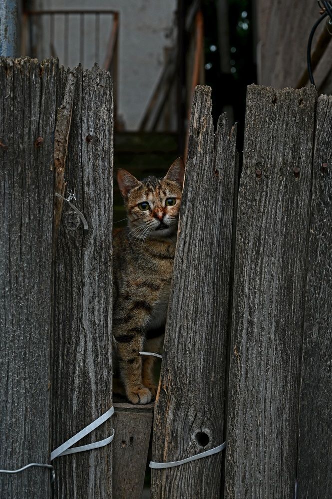 Photograph by Ольга Пумочка-13