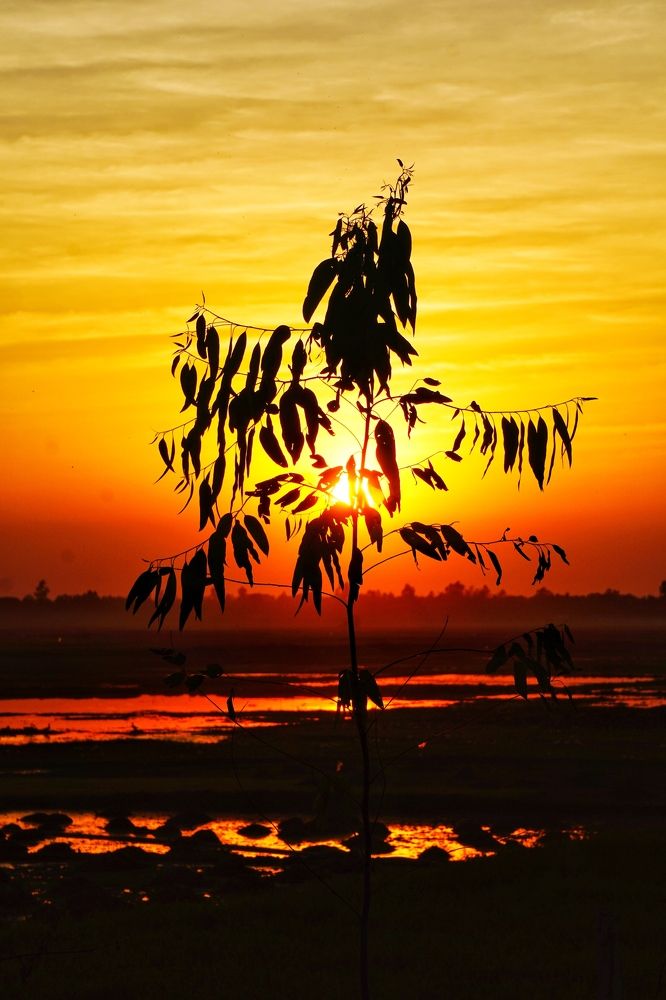 Photograph by Washiful Majid