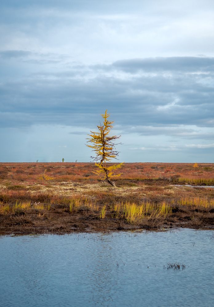 Фотография автора Straand2614