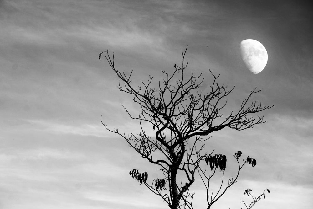 Фотография автора Washiful Majid