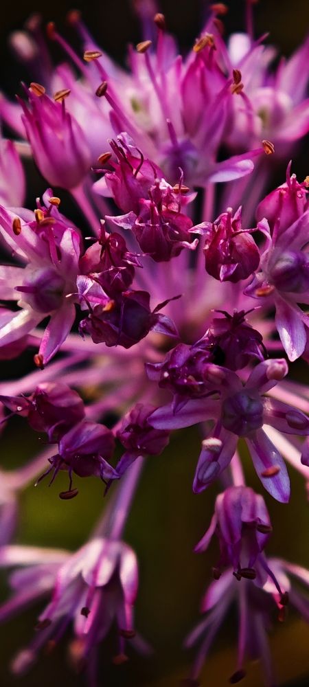 Photograph by Анна Курлова