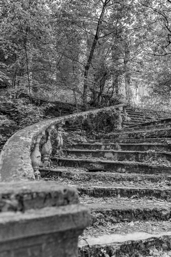 Photograph by Воробьёв Константин