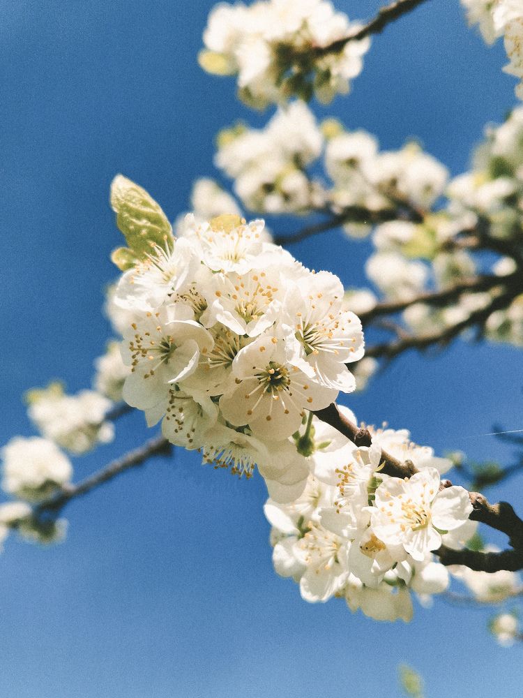 Фотография автора Liidia Klemmer