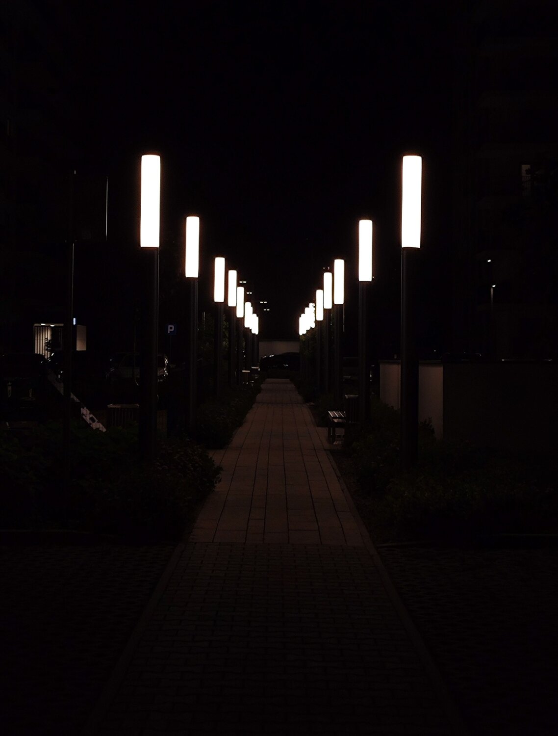 Photo #10667059