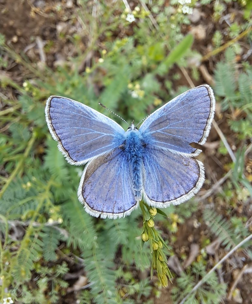 Photograph by Ольга Пумочка-13