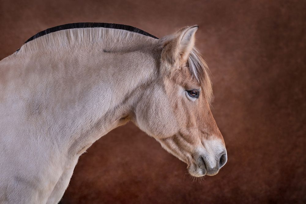 Photograph by Zsuzsanna Kata Fürstné Horváth