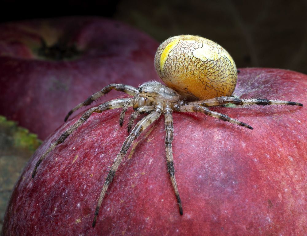 Photograph by Анатолий Макоедов